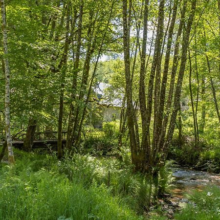 Gite Nature Le Moulin Vitrac-sur-Montane Exteriör bild