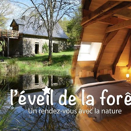 Gite Nature Le Moulin Vitrac-sur-Montane Exteriör bild