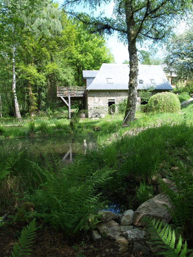 Gite Nature Le Moulin Vitrac-sur-Montane Exteriör bild
