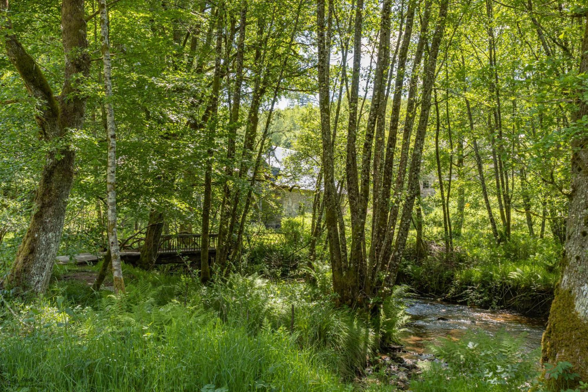 Gite Nature Le Moulin Vitrac-sur-Montane Exteriör bild
