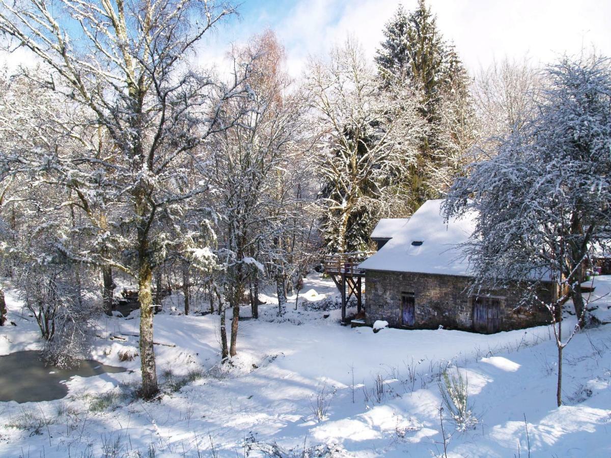 Gite Nature Le Moulin Vitrac-sur-Montane Exteriör bild