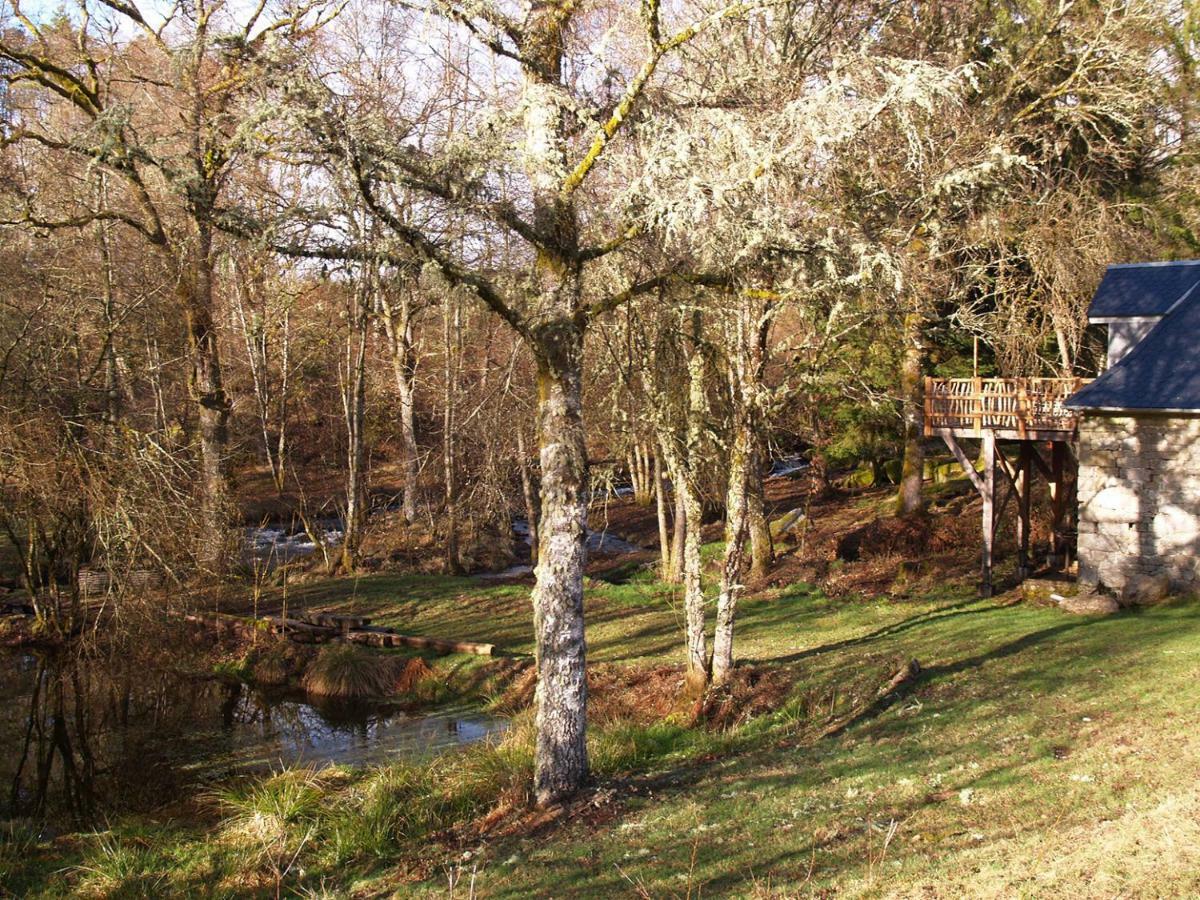 Gite Nature Le Moulin Vitrac-sur-Montane Exteriör bild