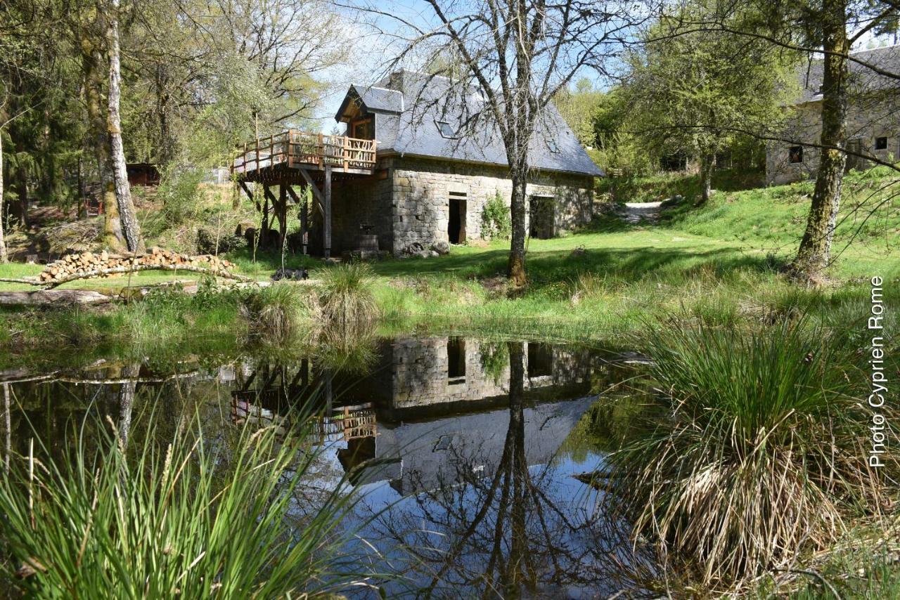 Gite Nature Le Moulin Vitrac-sur-Montane Exteriör bild