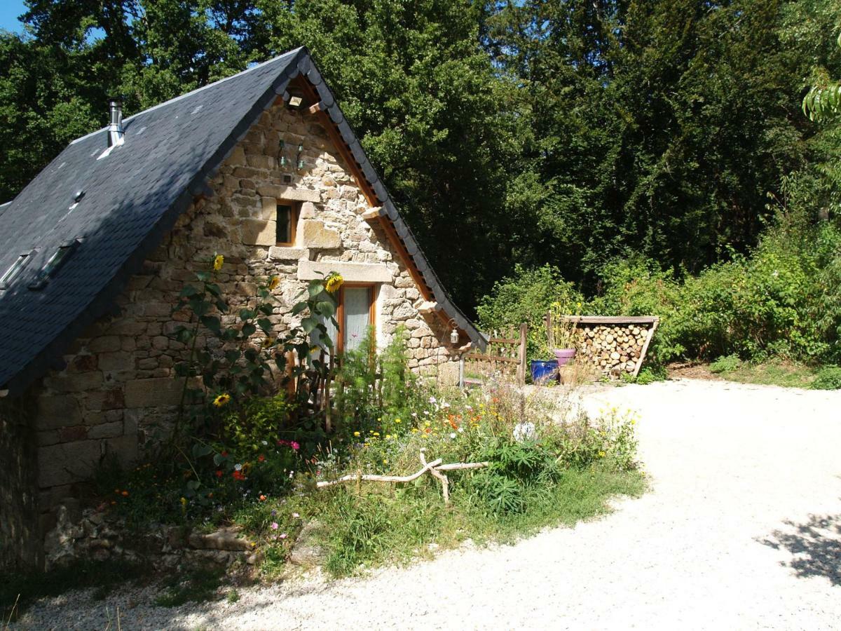 Gite Nature Le Moulin Vitrac-sur-Montane Exteriör bild